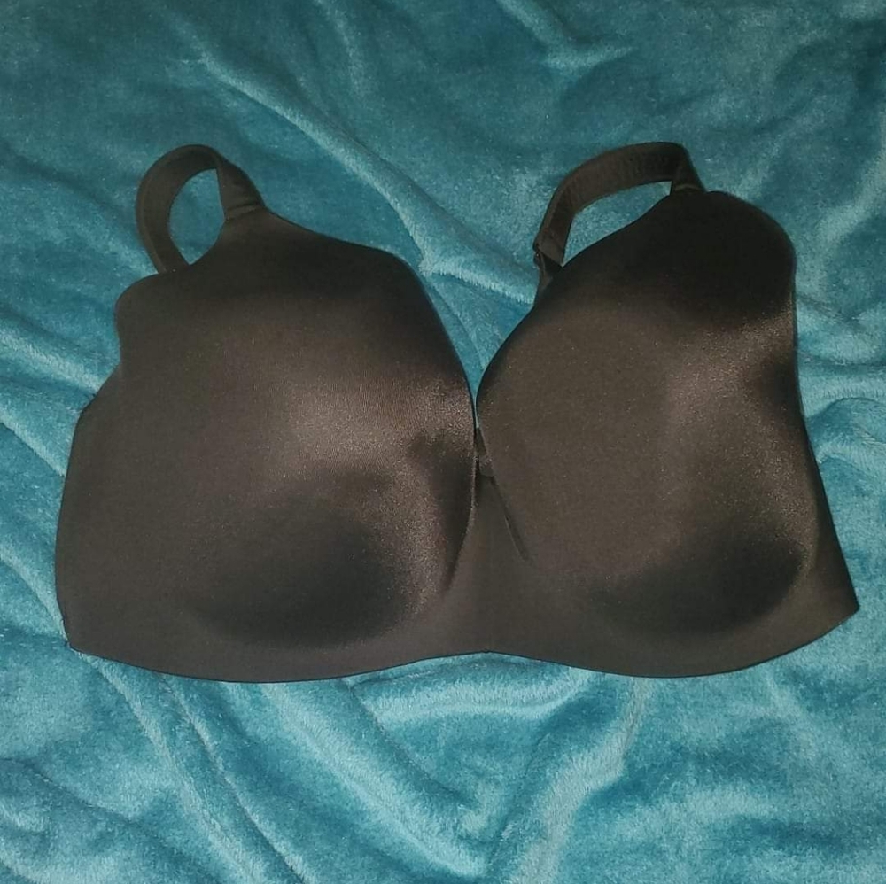 Lane Bryant push up